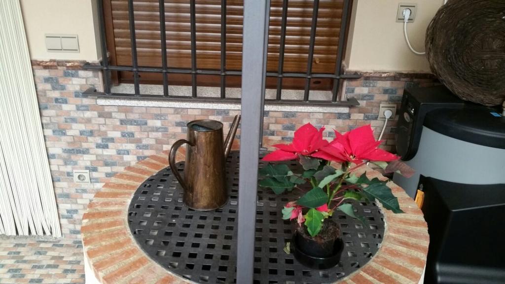 Los Toneles Puerto de Santa Cruz Ngoại thất bức ảnh